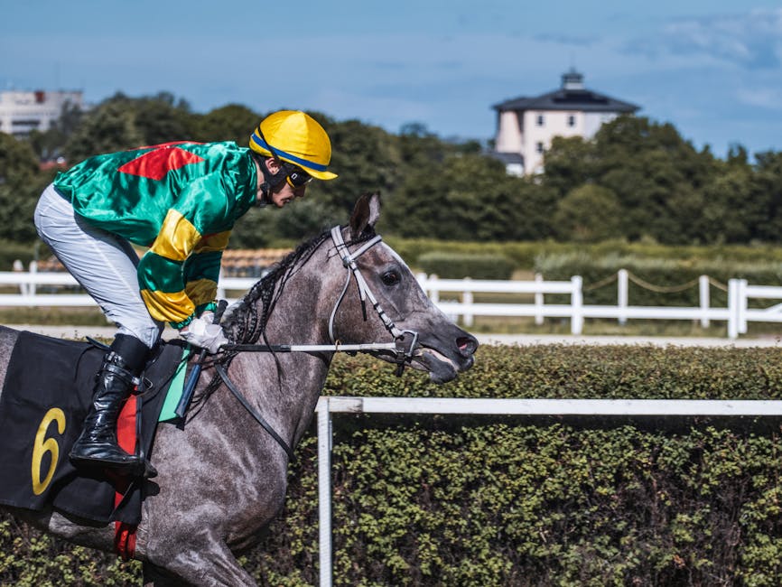 Bet365, Fanatics Gaining OSB Share at Expense of Two Rivals