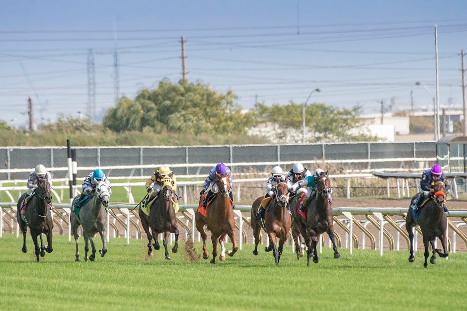 Full horse racing package lands on OddsMatrix platform