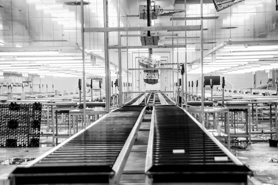 Sizekhaya Holdings wins eight-year SA Sports Pools tenure