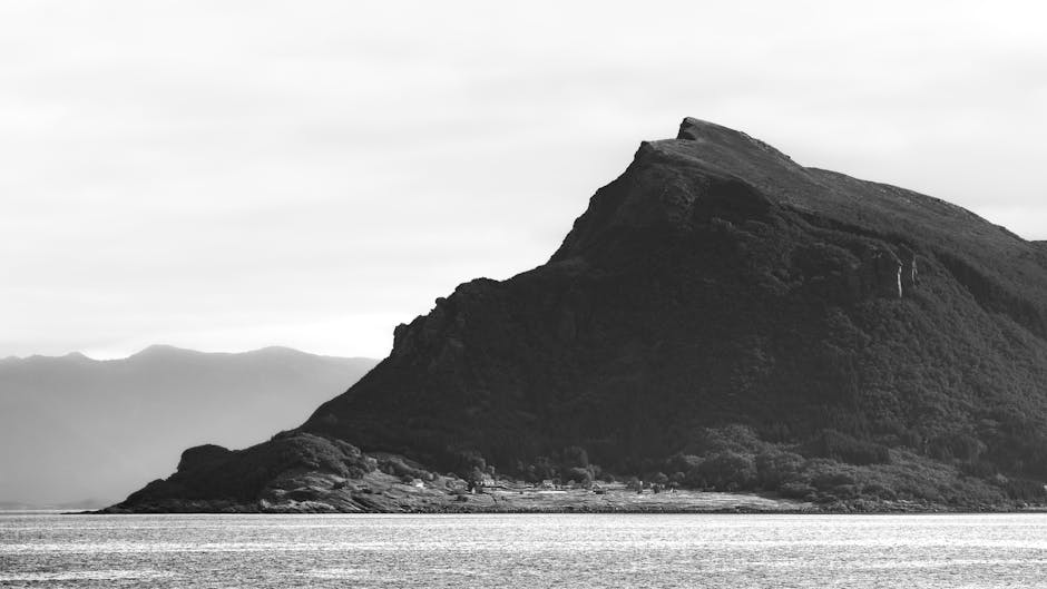 Hundreds of missing reports lead to black market fog in Norway