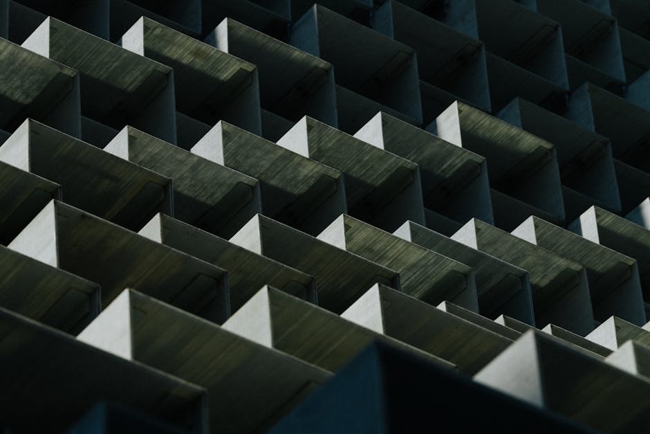 Pexels Photo 2346594