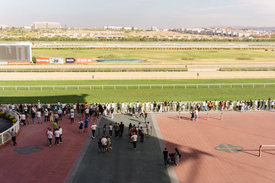 Dabble brings its ‘social charge’ to UK sports betting