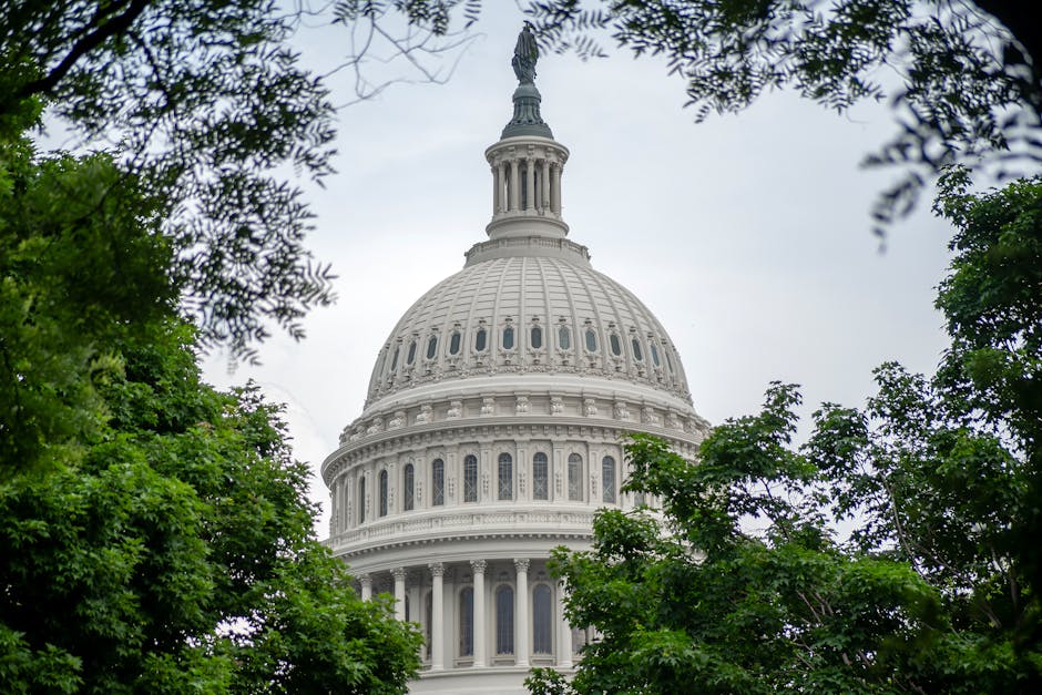 Washington, DC, Could Soon Have Poker and Blackjack Table Games