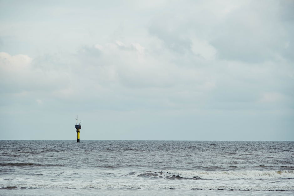 Pexels Photo 7859053