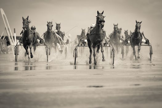 The Fastest Horses and Breeds That Dominate Horse Racing Tracks