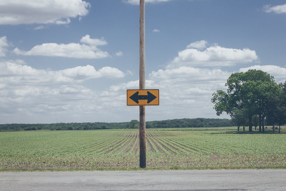 Handle Growth Leads BetMGM To Raise ’25 Guidance
